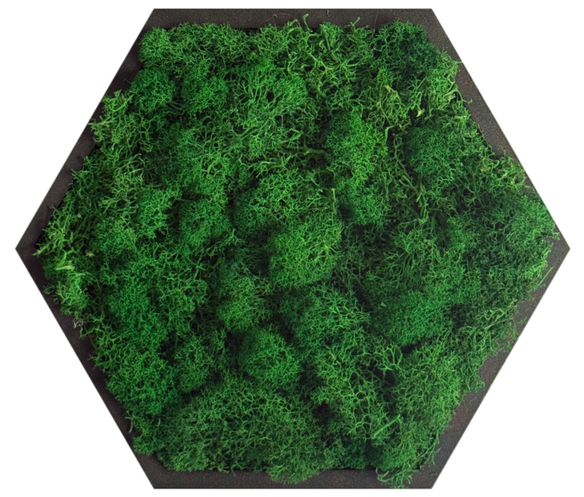 Emerald Green Moss
