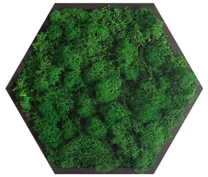 Emerald Green Moss