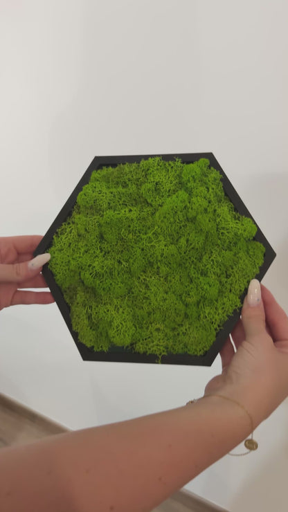 Apple Green Moss